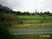 Olszanica